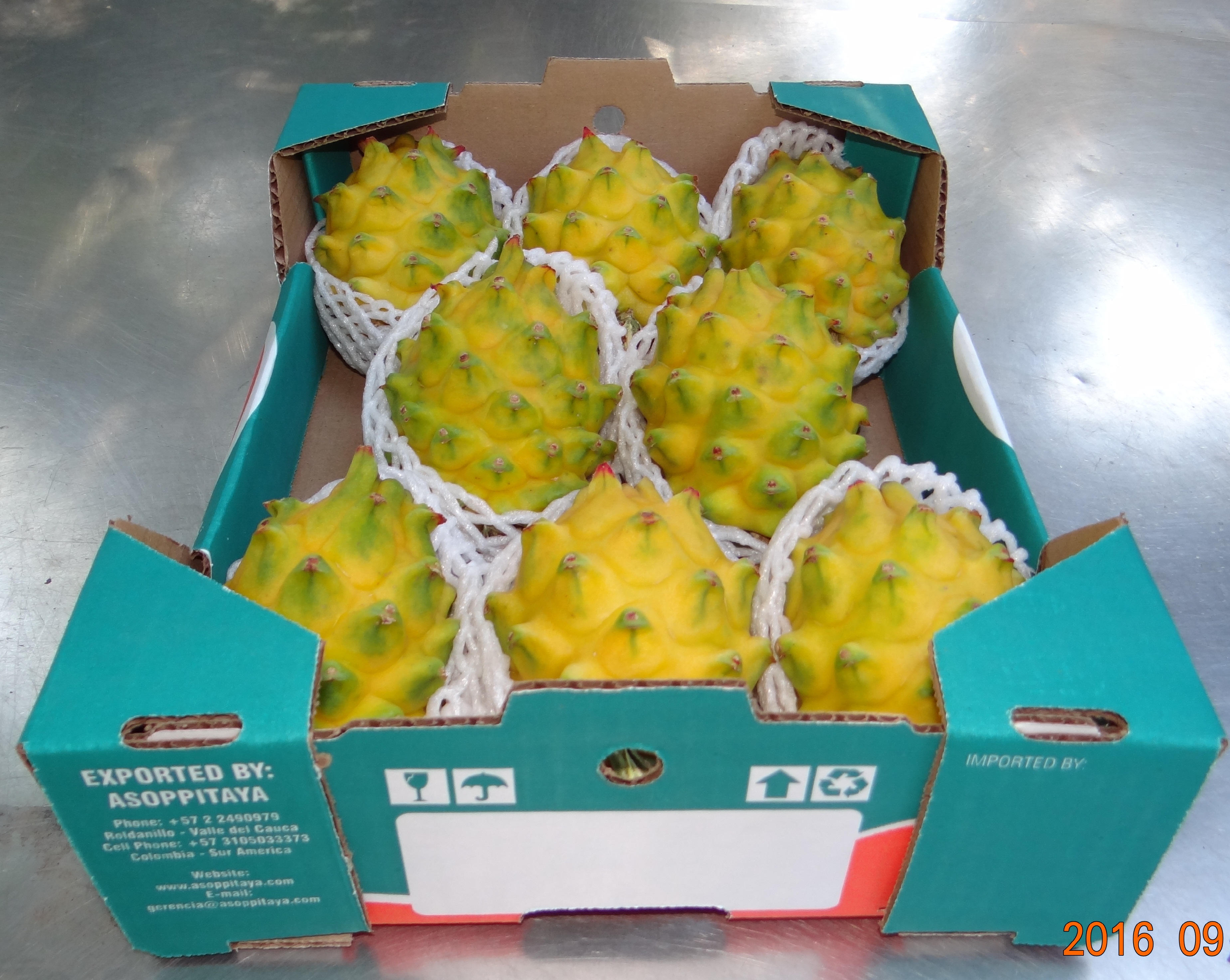 Fruta del Dragón  - Asoppitaya